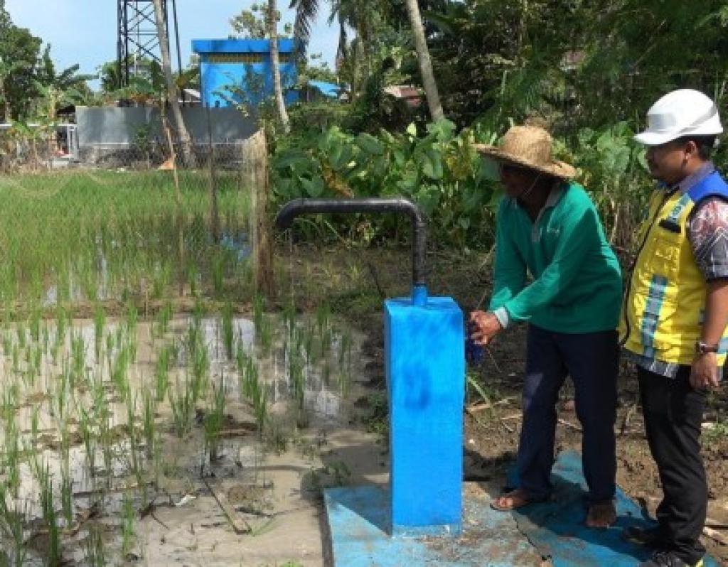 JIAT Jadi Andalan Petani di Banjar Hadapi El Nino, Puluhan Hektare Lahan Terairi